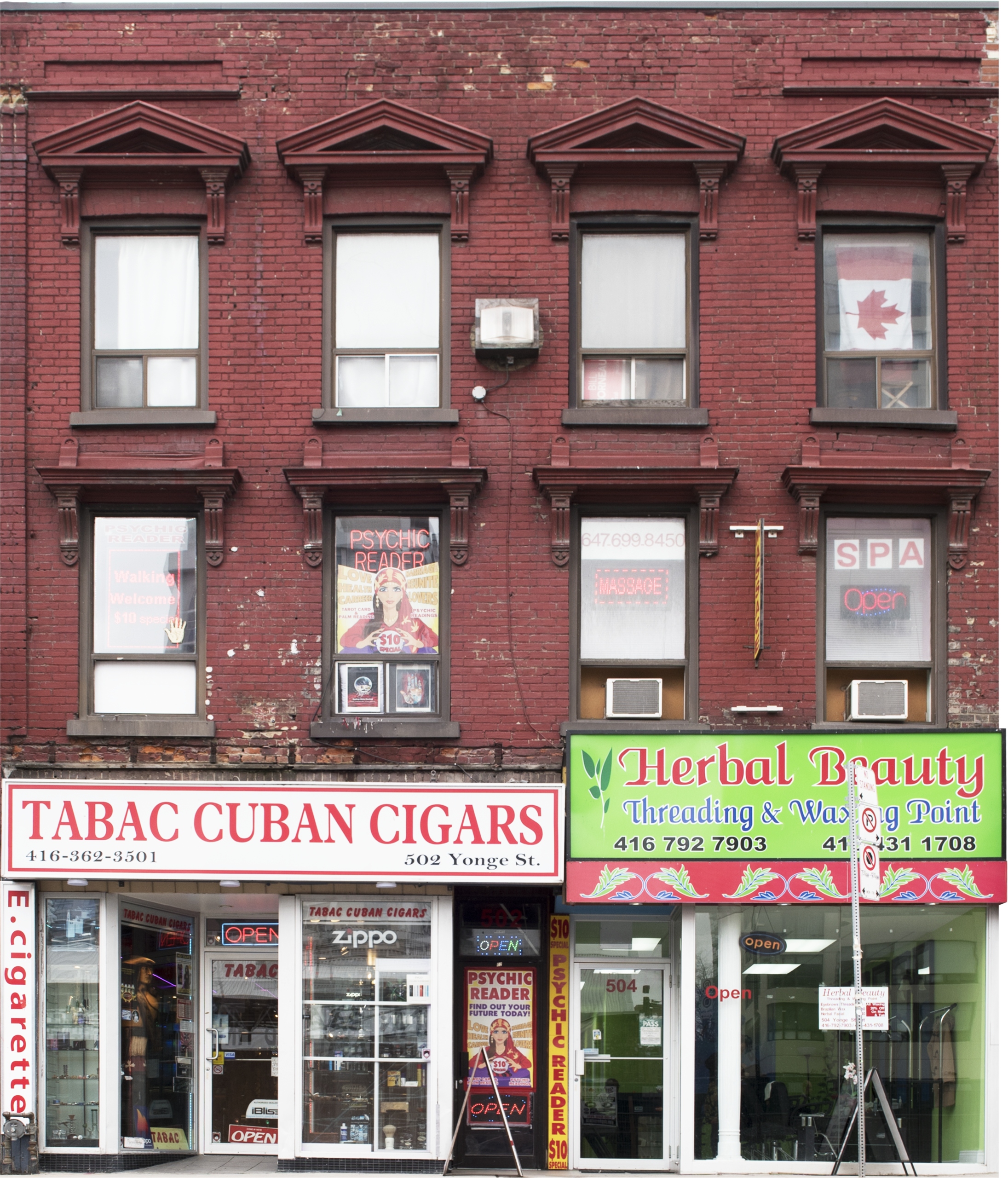 JSP0102 Tabac Cuban Herbal Beauty