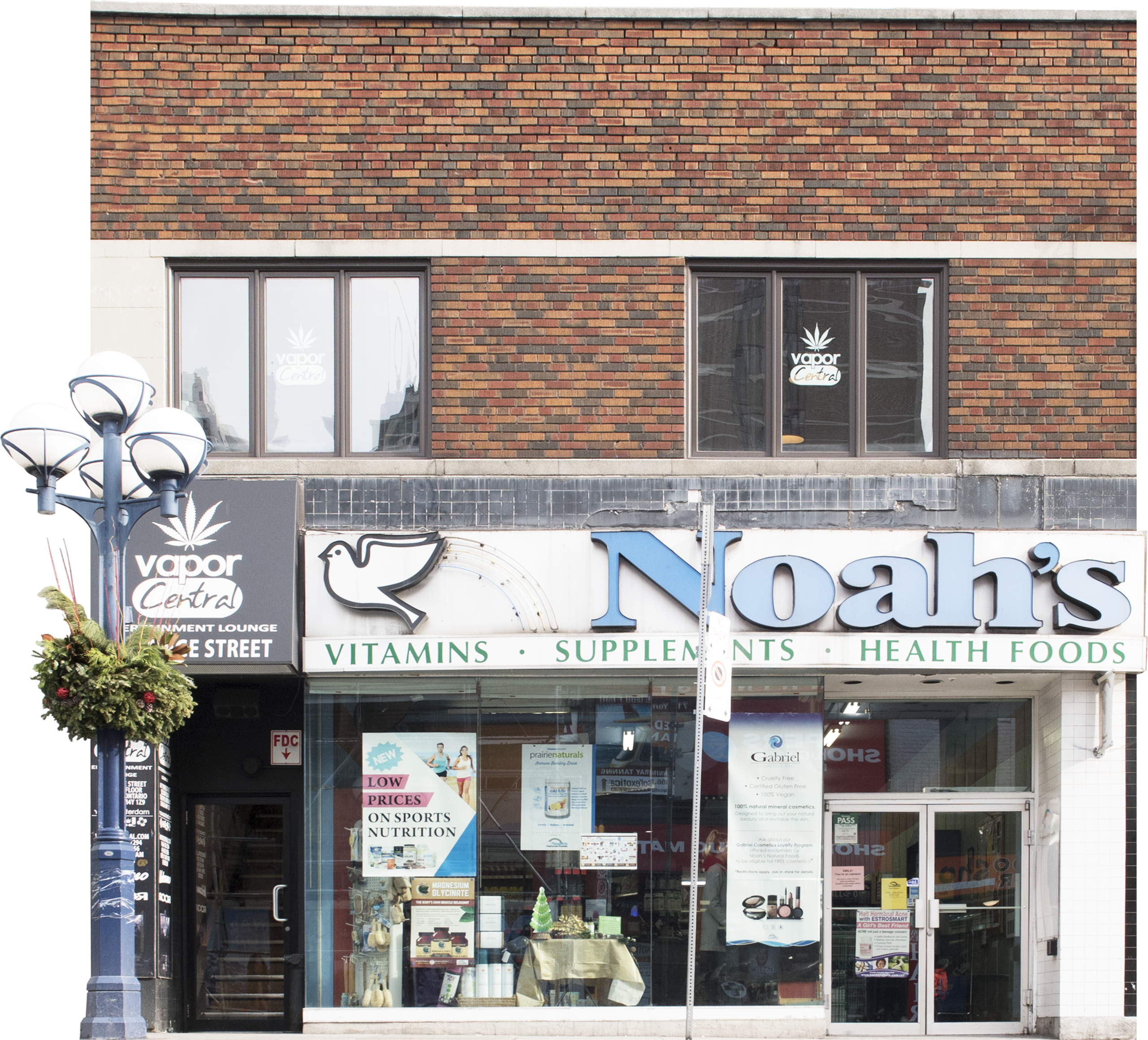 JSP9929 Noahs