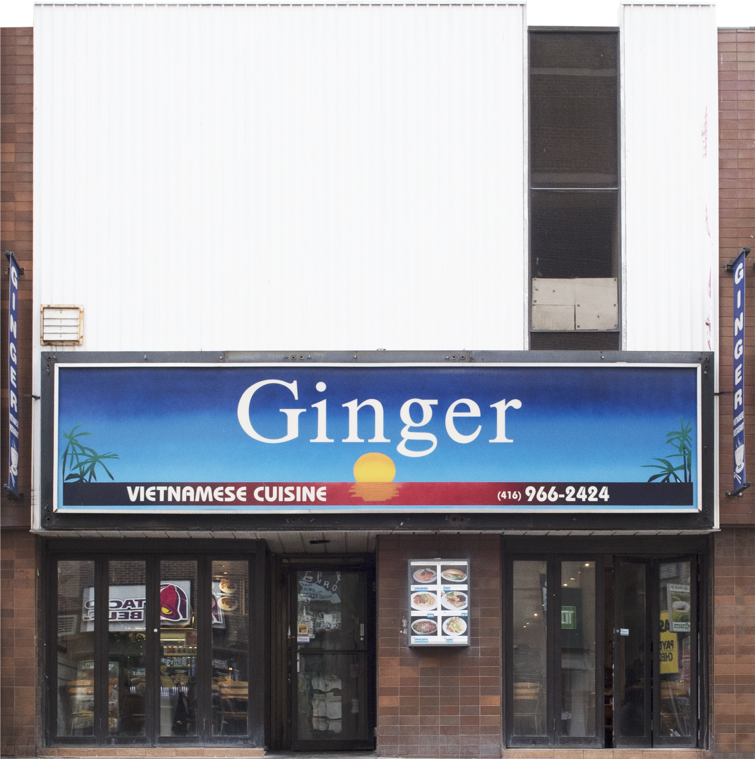 JSP9913 Ginger